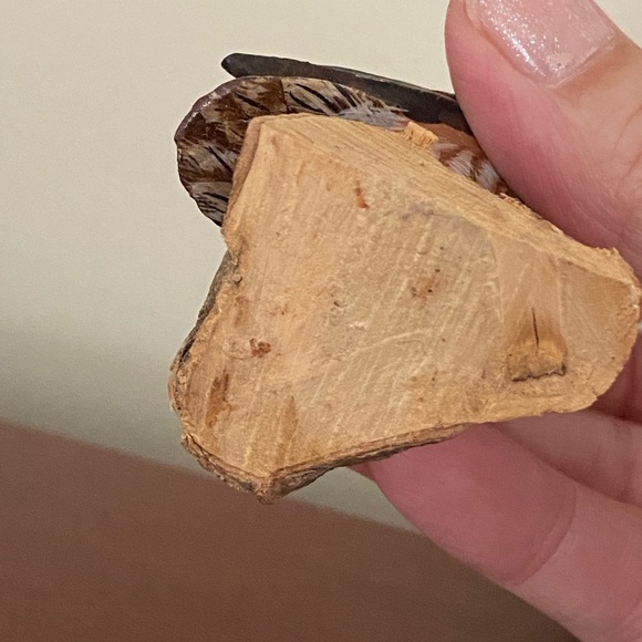 John Madison Woodcarved Spotted Owl Hand Carved And Hand Painted - Picture 6 of 8